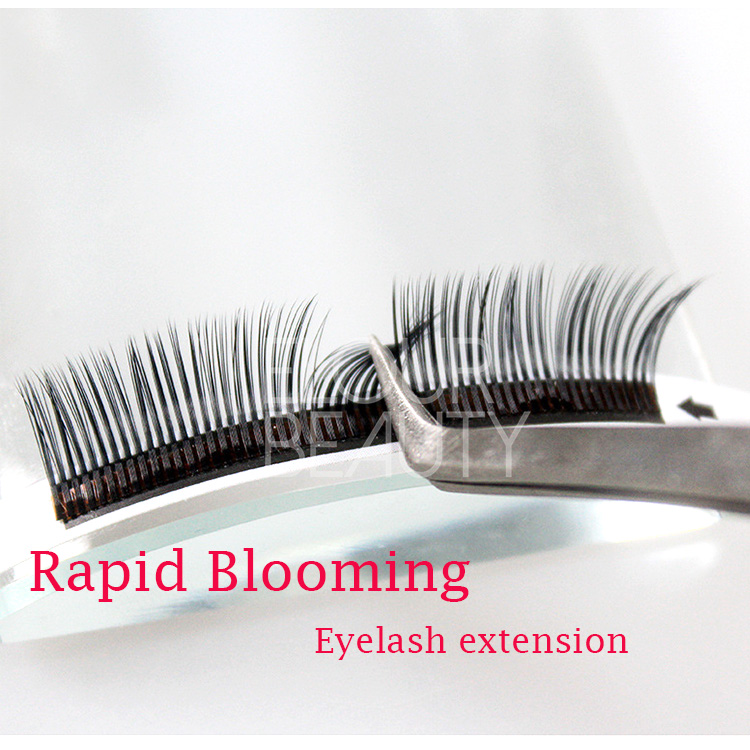 Best quality easy to use rapid blooming eyelash extensions 5D lashes wholesale EL56